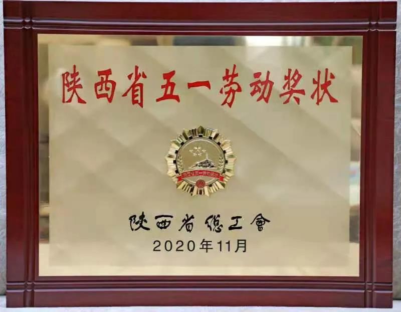 龙钢公司荣获“陕西省五一劳动奖状”荣誉称号
