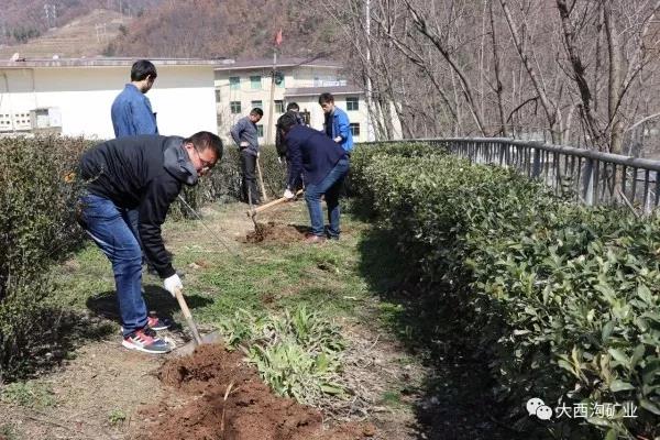 大西沟矿业公司多措并举 众志成城共建绿色矿山 大西沟矿业公司多措并举 众志成城共建绿色矿山