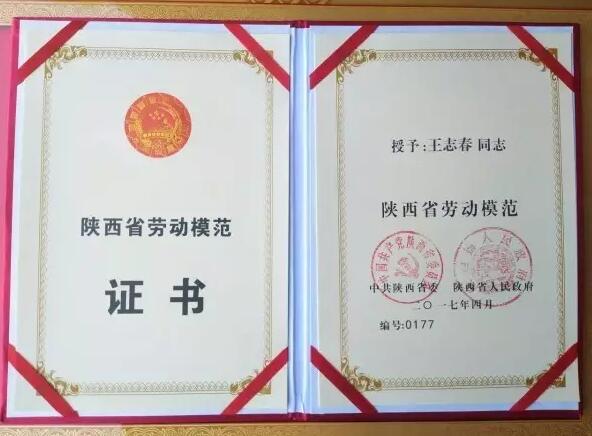 陕钢集团汉钢公司王志春同志荣获“陕西省劳动模范”称号