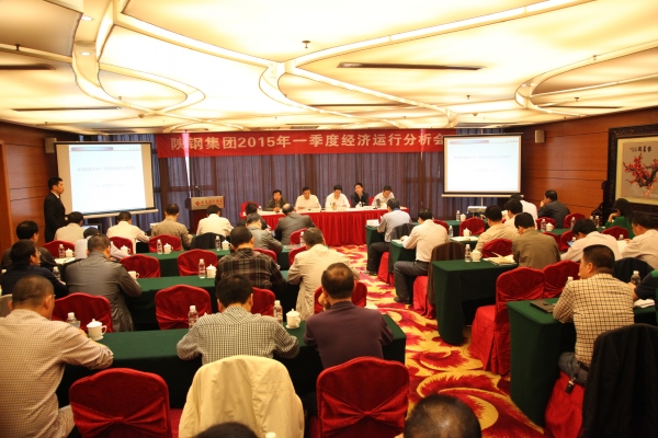陕钢集团召开2015年一季度经济运行分析会