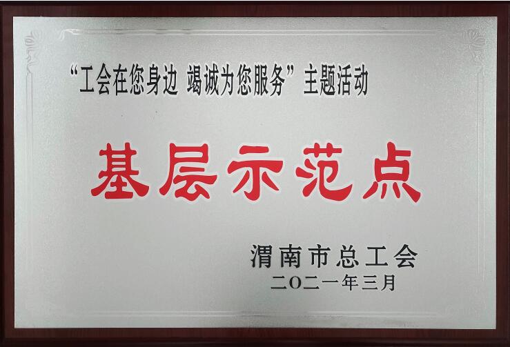 龙钢公司工会喜获渭南市总工会多项殊荣