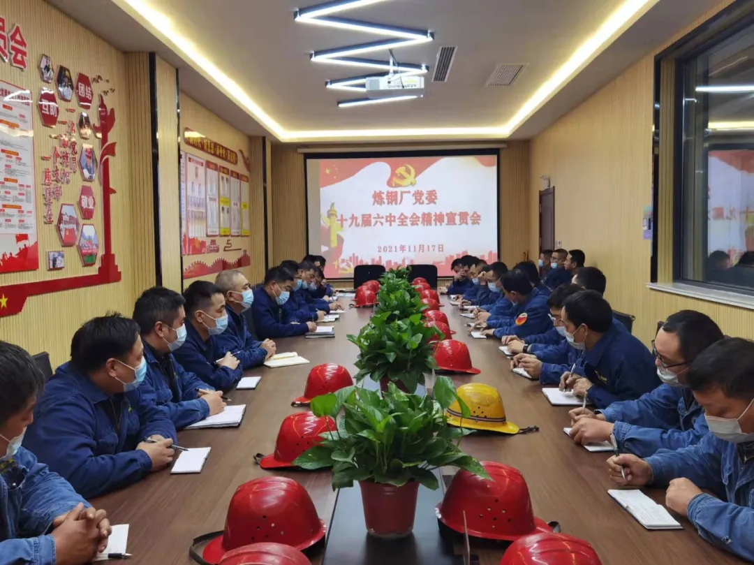 汉钢公司党委认真学习党的十九届六中全会精神