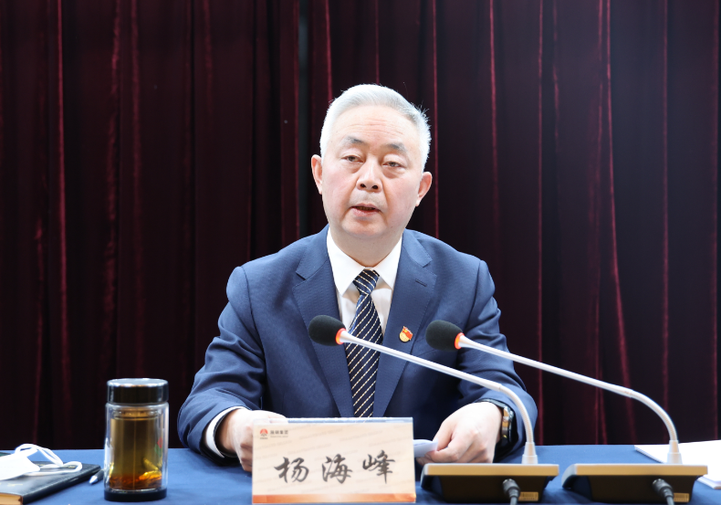 陕钢集团召开2022年度所属单位党委书记抓党建述职评议考核会议