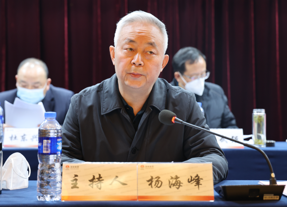陕钢集团召开2023年一季度安全环保委员会（扩大）会议