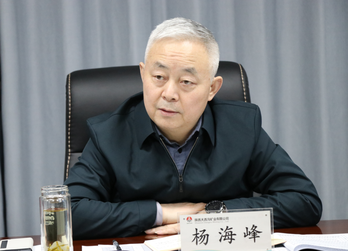 陕钢集团召开大西沟菱铁矿低成本开发领导小组会议