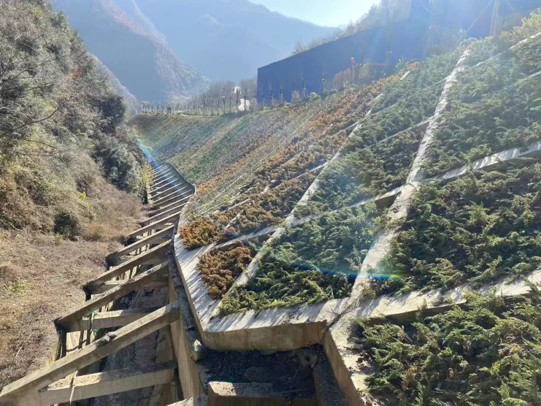 绿色矿山我们在行动 绿色矿山我们在行动