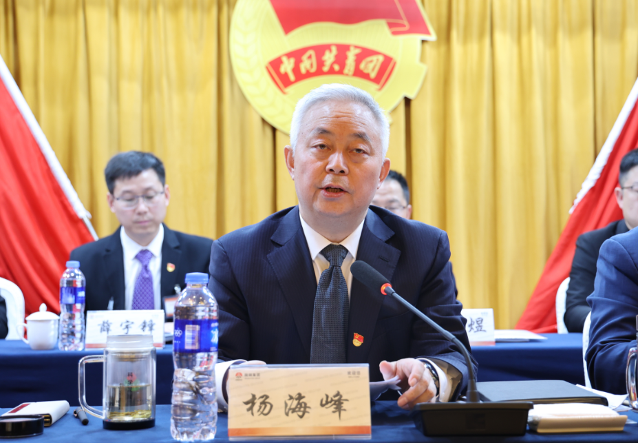 共青团陕西钢铁集团有限公司第二次代表大会胜利召开