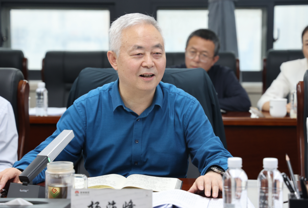 抓风口 选赛道 定战略 谋未来——陕钢集团召开镁铁钒钛耦合发展领导小组第三次工作会