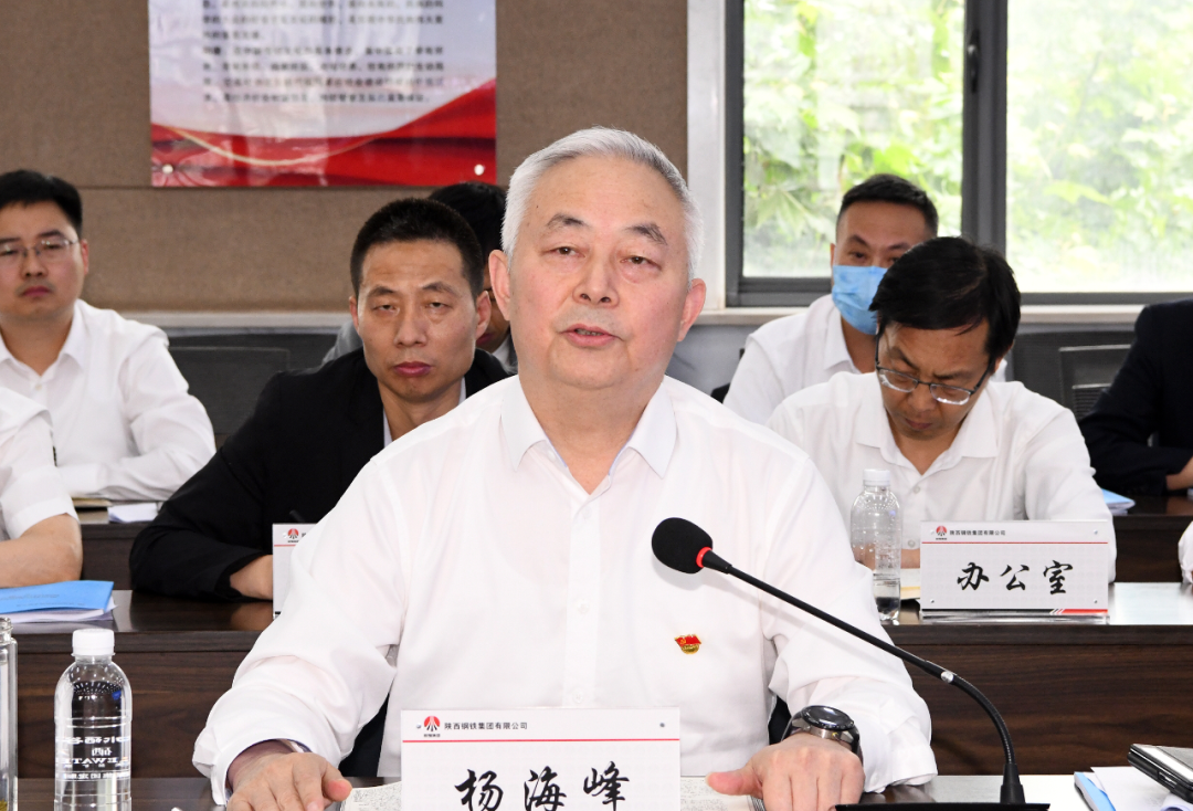 陕钢集团召开经济运行分析研讨会
