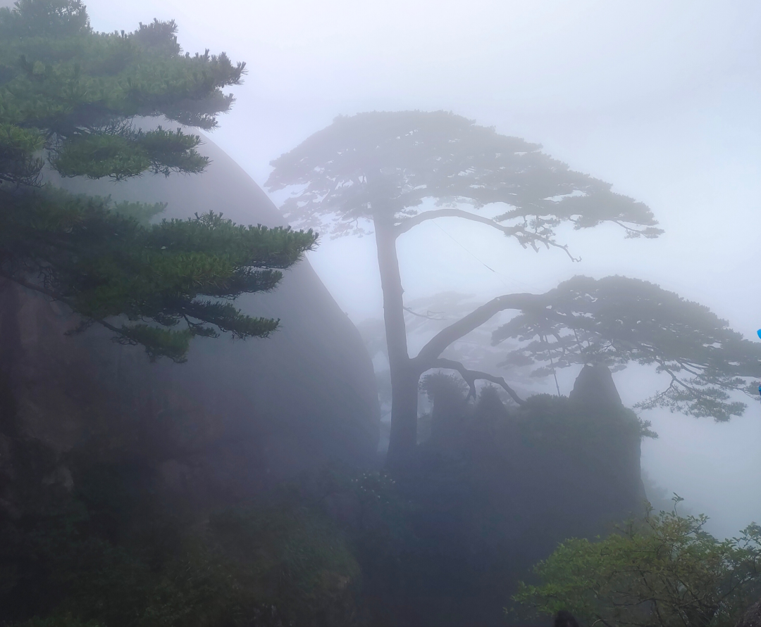 游黄山 游黄山