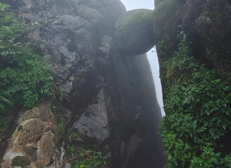 游黄山 游黄山