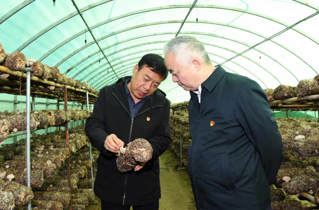 杨海峰到绥德县西直沟村开展助力乡村振兴工作调研