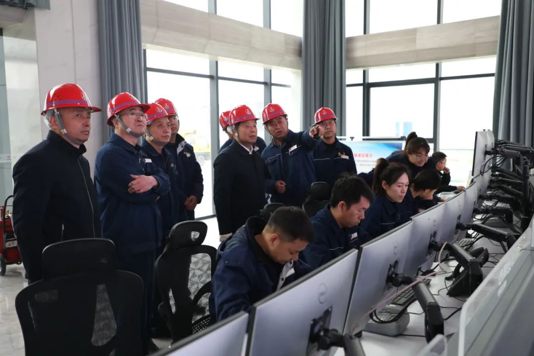 陕钢集团组织召开龙钢公司机械化综合一次料场项目达产达效督导会暨重点建设项目综合验收现场会