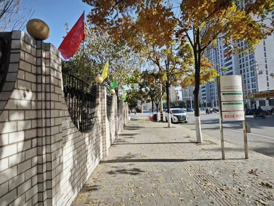 一抹冬日暖阳,照亮你的心房 一抹冬日暖阳,照亮你的心房