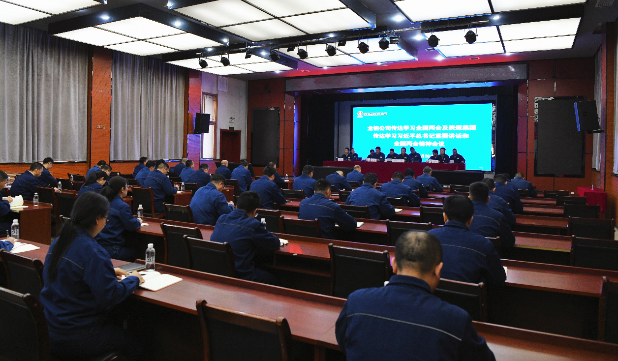 龙钢公司召开专题会议 传达学习全国两会精神及陕煤集团传达学习习近平总书记重要讲话和全国两会精神