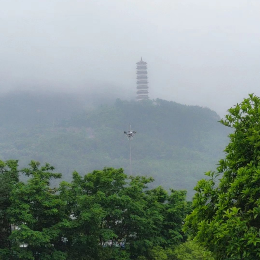 读书 听雨