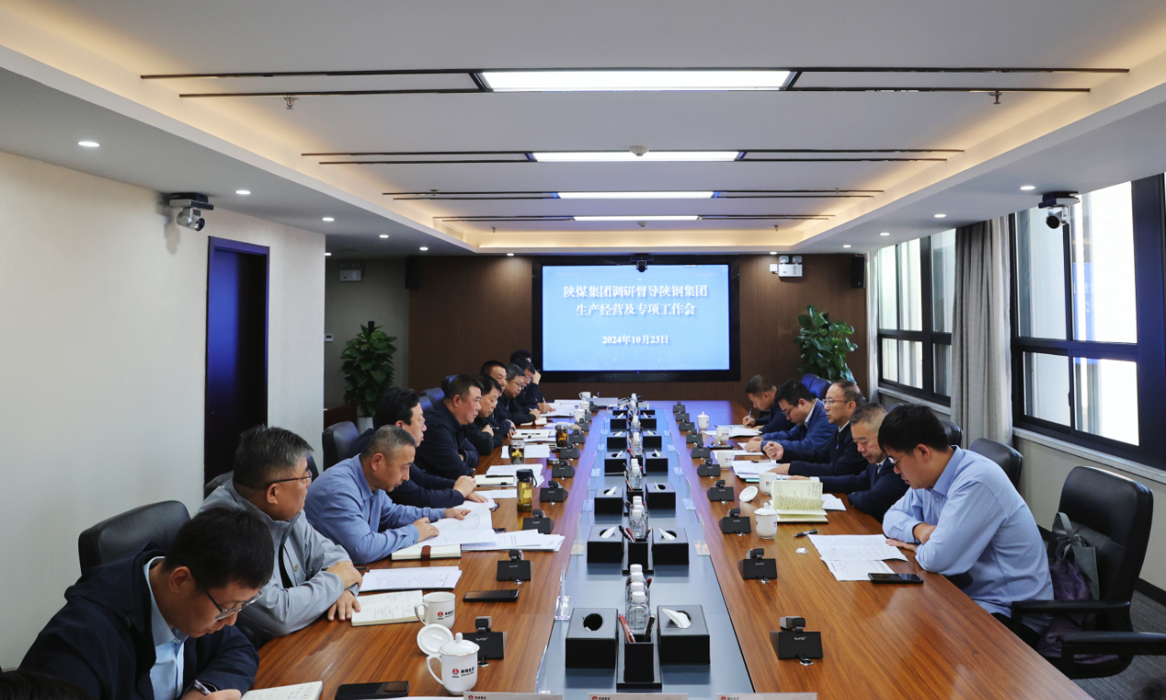 杜平到陕钢集团督导调研生产经营及专项工作