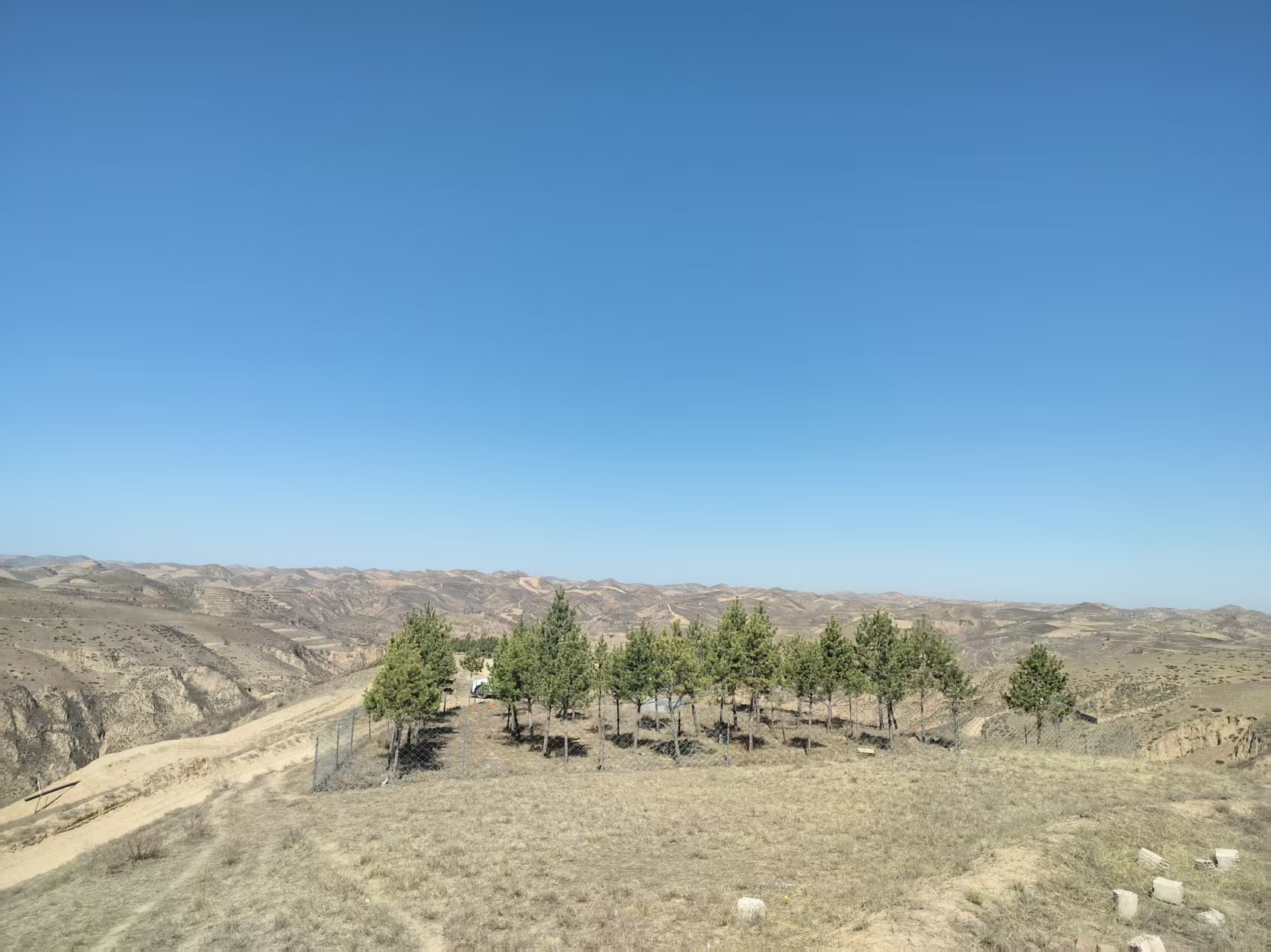 黄土地上的清明