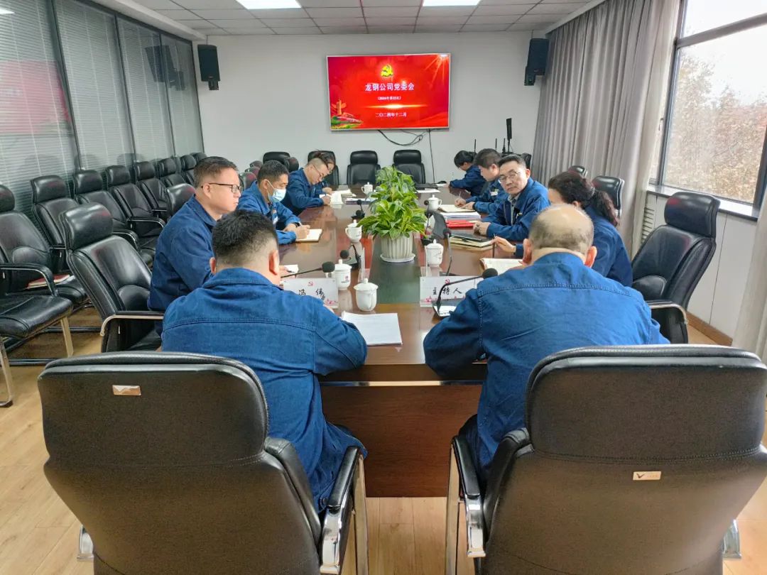 充分发挥党建引领作用 凝聚推动高质量发展强大合力