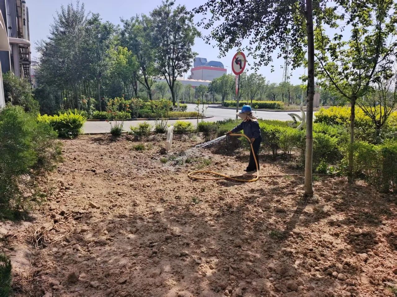 禹宏环保科技公司：绿荫如盖绽新颜，绿色发展谱新篇
